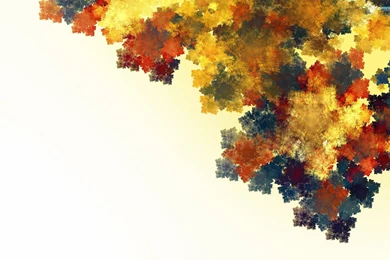 Autumn Leaves Wallpapers   Photography Wallpapers