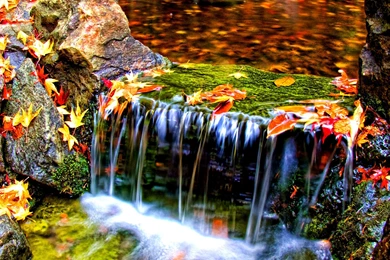 Love With Quotes HD Wallpapers Widescreen