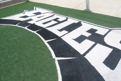 Philadelphia Eagles Backgrounds.jpg