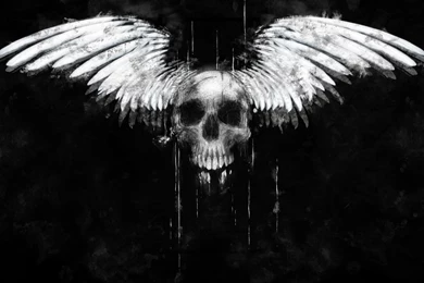 3D Skull HD Wallpapers5.jpg