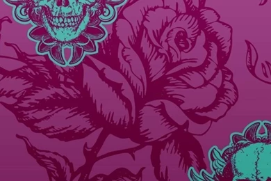Skull Wallpapers On Pinterest