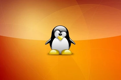 Super_tux_wallpaper_linux 1024x768.jpg
