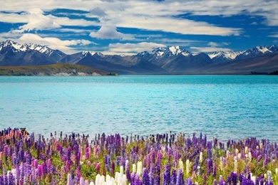 New Zealand Lake Tekapo 4K Ultra HD Wallpapers