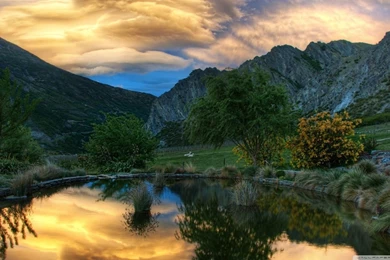 Pond   Gibbston, New Zealand HD Desktop Wallpapers : High ...