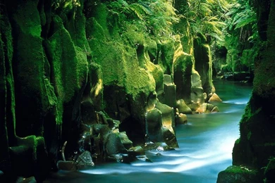 New Zealand Photo Gallery, Wallpapers