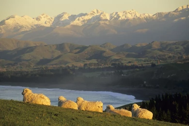 Top New Zealand 1920x1080 Wallpaper Images For Pinterest