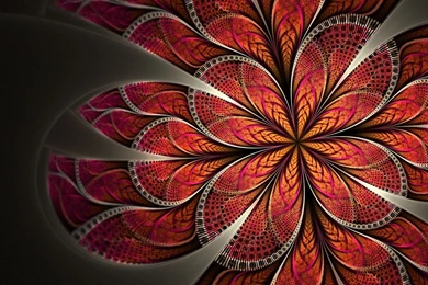 DC Serve 2013   Chasing Agnus