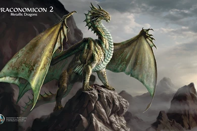 DRACONOMICON METALLIC DRAGONS Dungeons Dragons Metallic ...