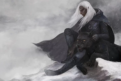 FORGOTTEN REALMS Dungeons Dragons Fantasy Board Rpg Wallpapers ...