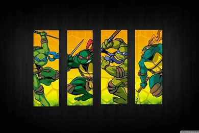 Teenage Mutant Ninja Turtles HD Desktop Wallpapers : High ...