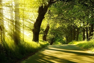 HD Quality Summer HD Wallpapers 17 Widescreen   SiWallpapers 1822