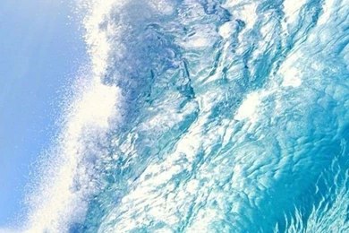 Nice Wave To Surf iPhone 5 Wallpapers (640x1136)