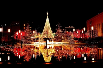 Free Christmas Desktop Wallpaper_hd Wallpaper_download Free Wallpapers