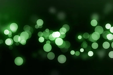 Light Green Abstract 1 Wallpaper Background Hd.jpg