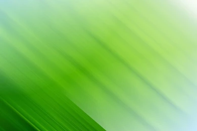 Green Abstract Desktop Pics Wallpapers 2461   HD Wallpapers Site