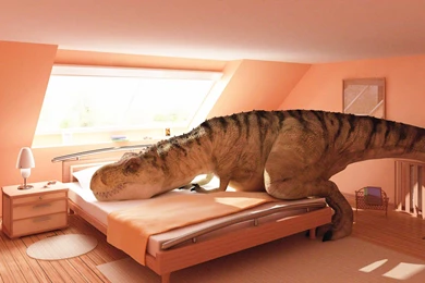 Weird Awesome Wallpapers And Backgrounds   All HD Wallpapers