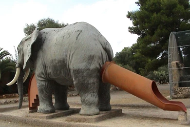 Weird Photos Of Funny Strange Stuff 29 Hd Wallpapers Funnypicture.org