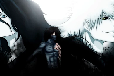 Ichigo Computer Wallpapers, Desktop Backgrounds