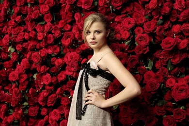 Chloe Moretz HD Wallpapers Collection Of American Actresss