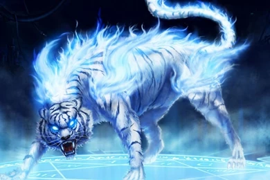 High Definition Tiger Wallpapers For Free Download