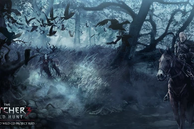 The Witcher 3: Wild Hunt Wallpapers By Vokr On DeviantArt