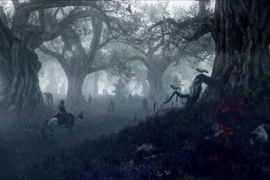 The Witcher 3: Wild Hunt Wallpapers HD 5 Gallery
