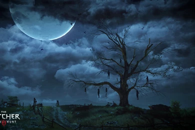 304 The Witcher 3: Wild Hunt HD Wallpapers