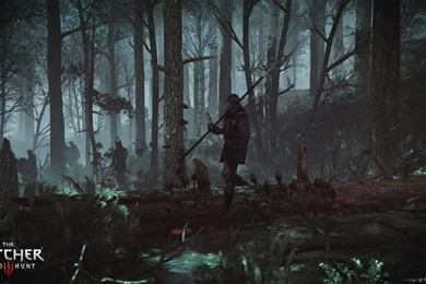 The Witcher 3: Wild Hunt Wallpapers HD 5 Gallery