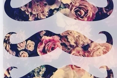 Mustache Wallpapers On Pinterest