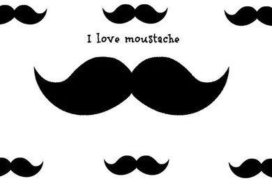 Moustache Wallpapers HD 34 Windows