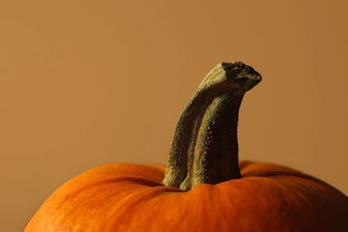 Wallpapers Fre: Fall Pumpkin Desktop Backgrounds