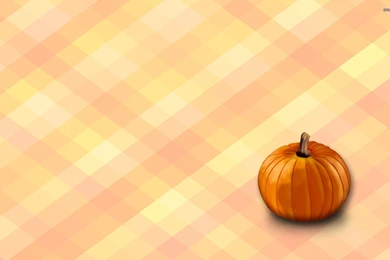Pumpkin Wallpapers Digital Art Wallpapers