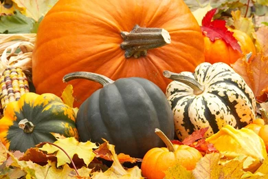 Fall Leaves And Pumpkin Wallpapers