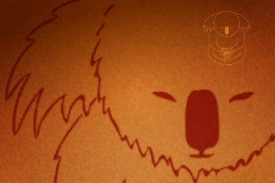 Koala Wallpapers   139227