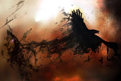 1366x768 Crow Dark Messenger Wallpapers