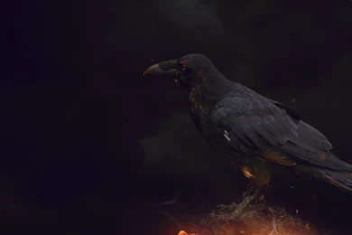 Wallpapers Dark Crow By Nablo92 On DeviantArt