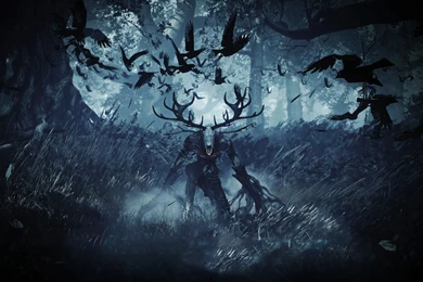 The Witcher 3 Wild Hunt Game Monster Crow Wal... 891