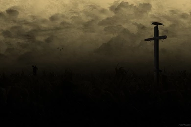 Crow Computer Wallpapers, Desktop Backgrounds