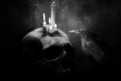 Mac iMac 27 Crow Wallpapers HD, Desktop Backgrounds 2560x1440