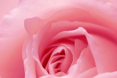 Close up iPhone 5s Wallpapers