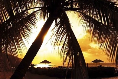 iPhone 4 Nature Wallpapers Set 2 12