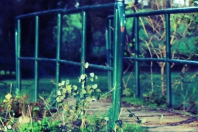 Nature 47 iPhone 5s Wallpapers Download