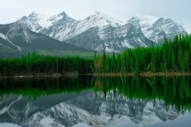 Hd Nature Wallpapers, Amazing Landscape Images, Sky, Green, Nature ...