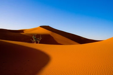 Desert Computer Wallpapers, Desktop Backgrounds