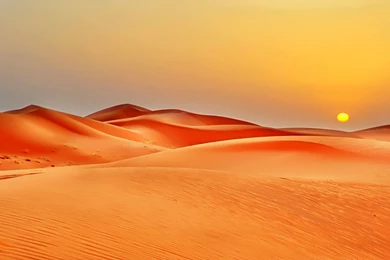 Life In Desert Wallpapers & Backgrounds Desert HD Pics