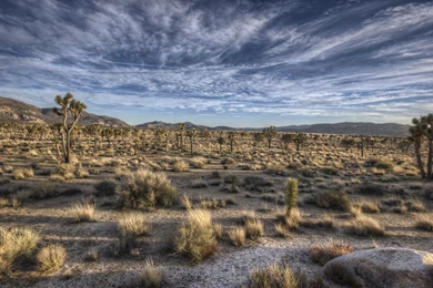 Locations Desert Wallpaper Backgrounds