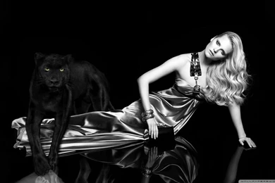 Blonde Woman And Black Panther HD Desktop Wallpapers : Widescreen ...