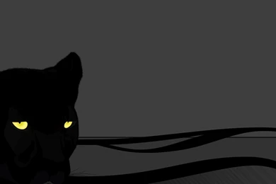 Black Panther Wallpapers Vector Wallpapers