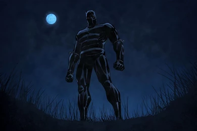 Black Panther Comics