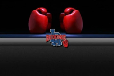 Background gloves1 From LA Boxing Gym, Columbia MD In Columbia, MD ...